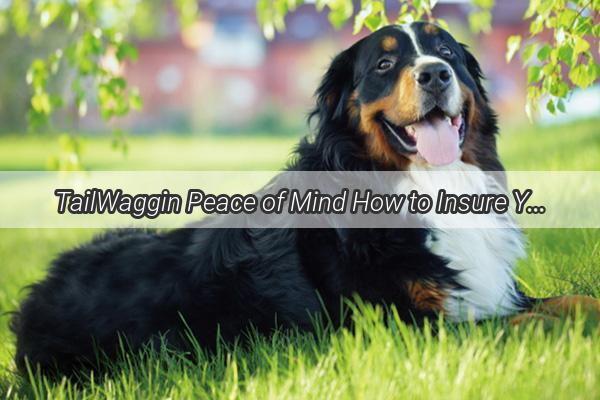 TailWaggin Peace of Mind How to Insure Your Furry Friend Like a Pro